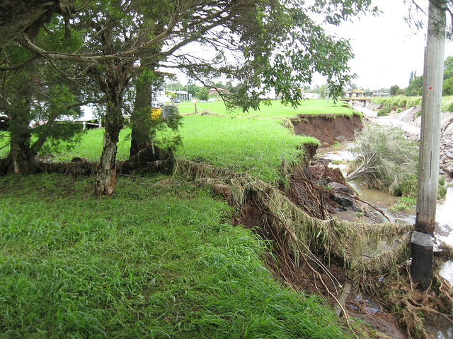 ToowoombaRainReport10012011 035