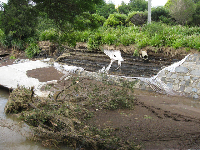 ToowoombaRainReport10012011 034