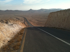 Syria 2010/11
