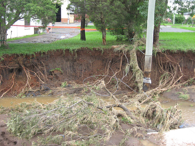 ToowoombaRainReport10012011 079