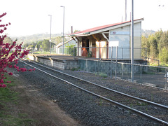 201109Toowoomba 026