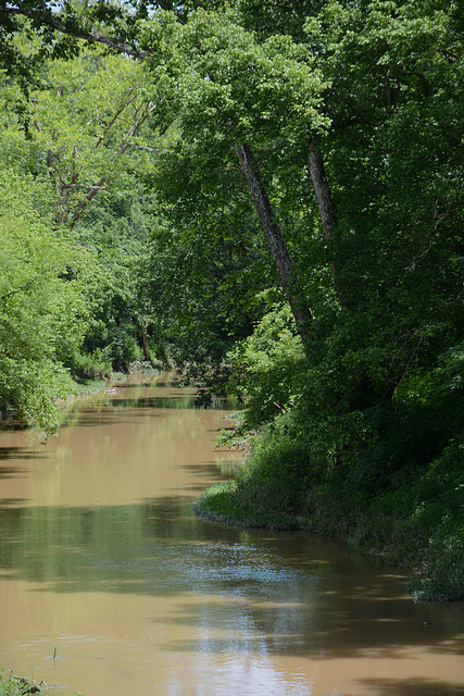 My creek, after a rain