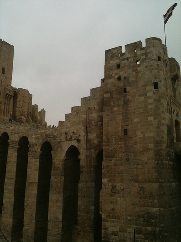 Syria 2010/11