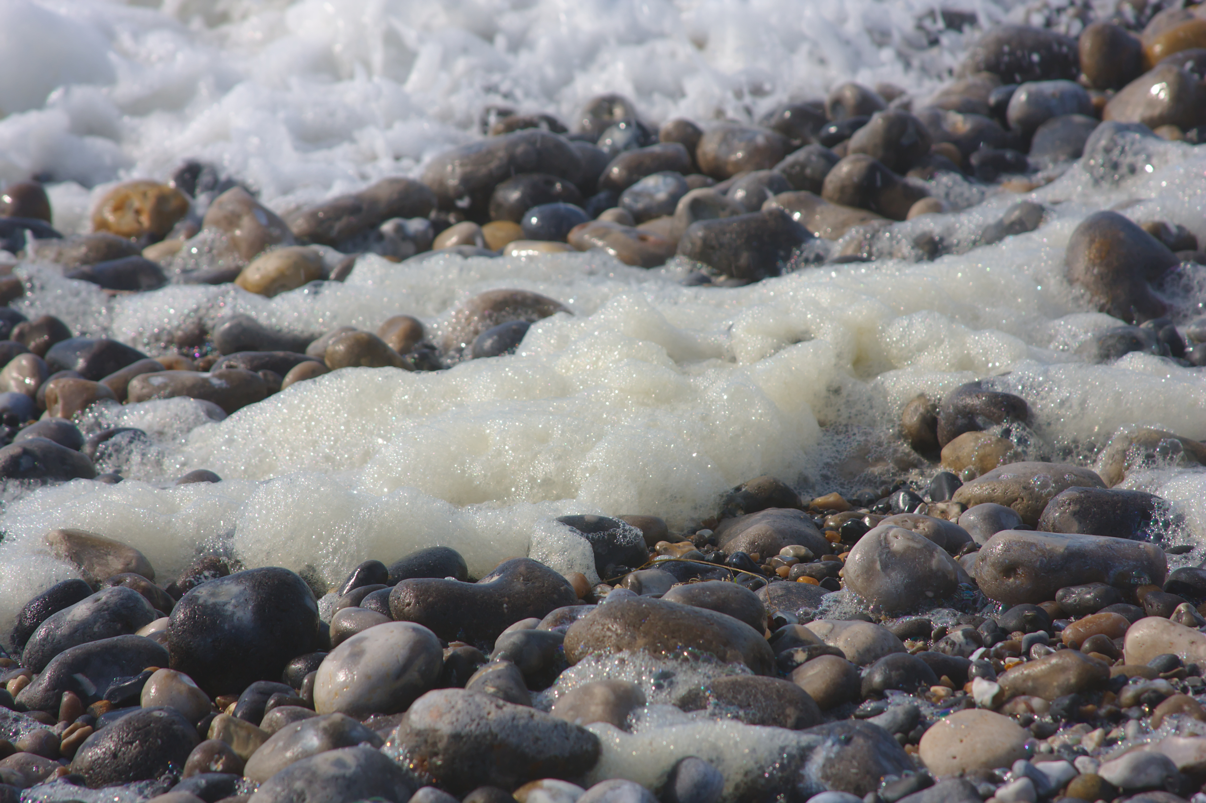 Cayeux sur Mer