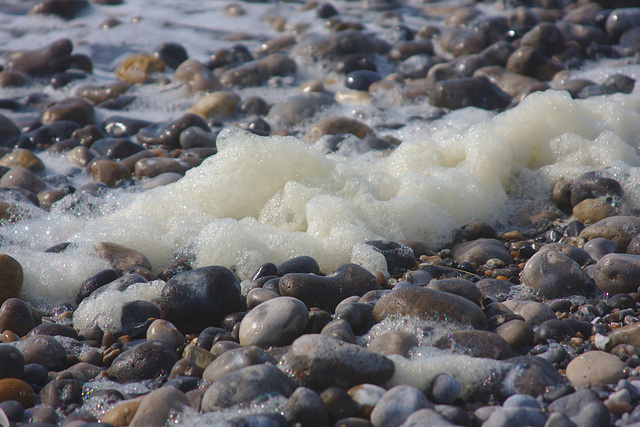 Cayeux sur Mer