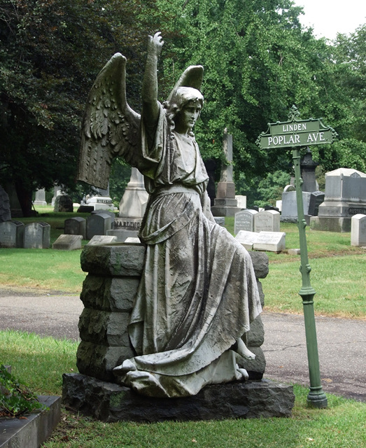 Angel in Woodlawn Cemetery, August 2008