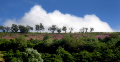 Meerfeld, Eifel, Germany