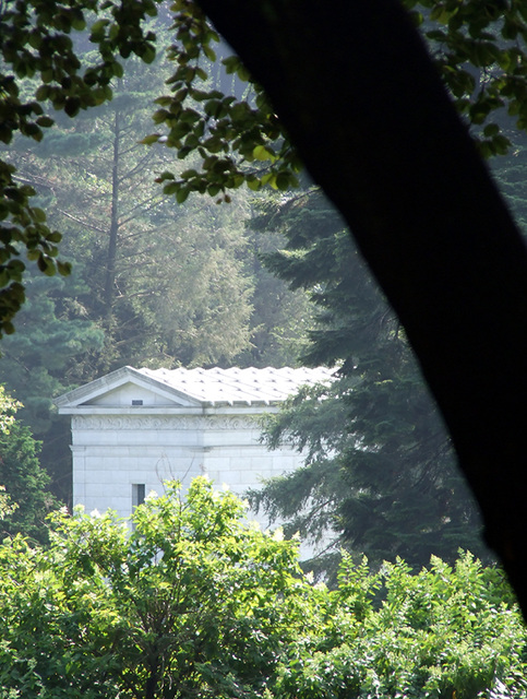 Tree and Mausoleum in the Distance in Woodlawn Cemetery, August 2008