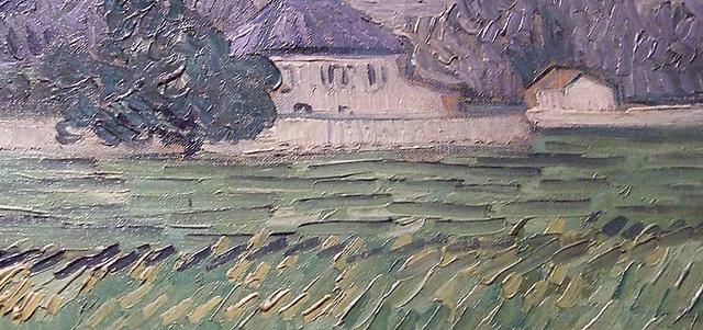 Detail of House at Auvers by Van Gogh in the Phillips Collection, January 2011