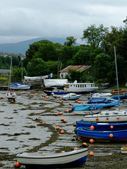 River Seiont [Afon Seiont]_002 - 30 June 2013