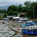 River Seiont [Afon Seiont]_002 - 30 June 2013