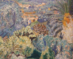 Detail of The Riviera by Bonnard in the Phillips Collection, January 2011