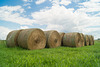 20130810-DSC02239.jpg