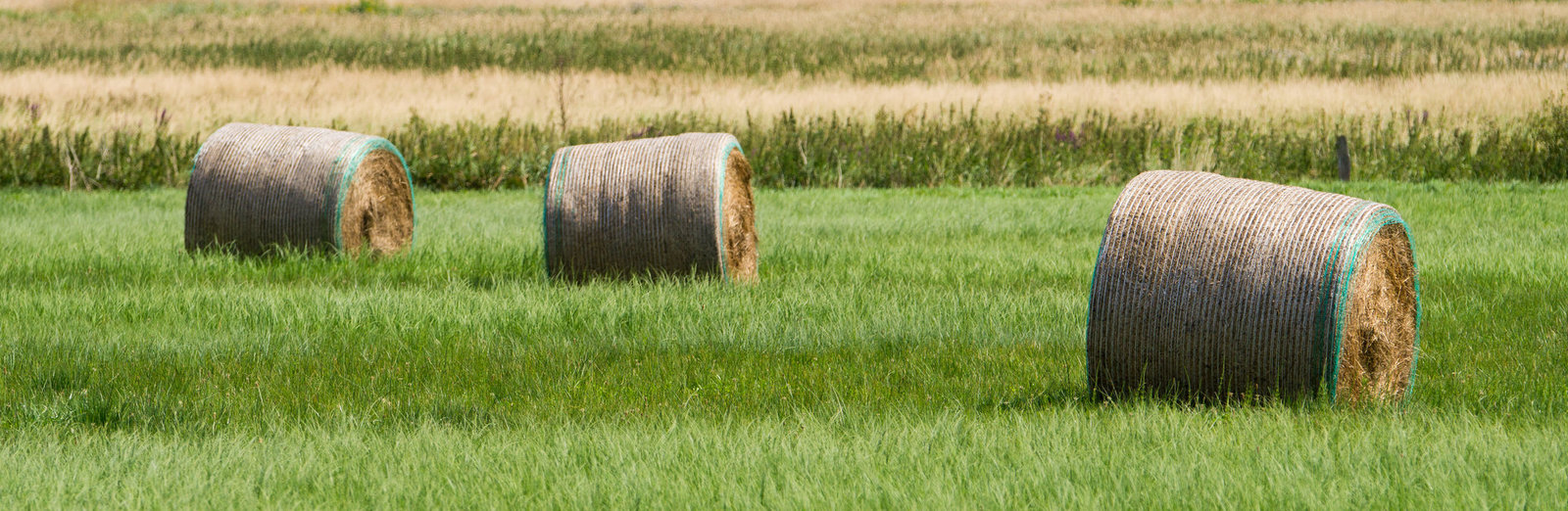 20130810-DSC02246.jpg