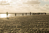 Wattenmeer DSC02125