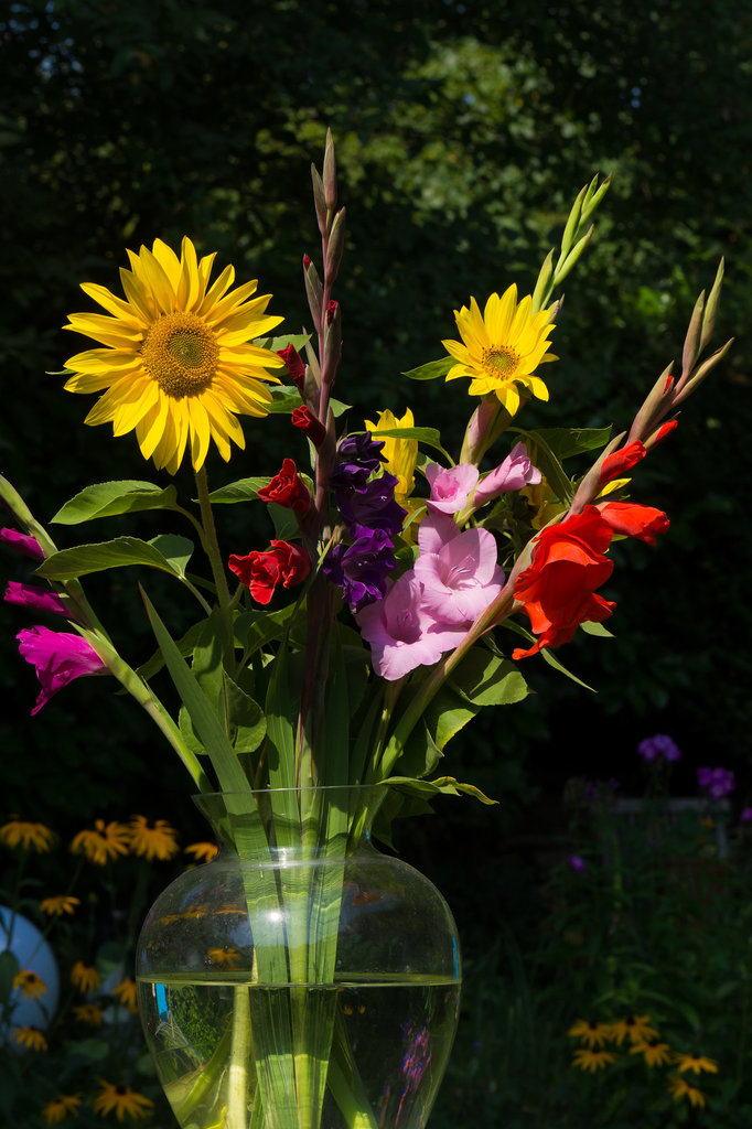 20130823-DSC02371.jpg