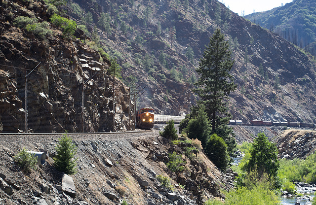 Feather River BNSF freight (0190)