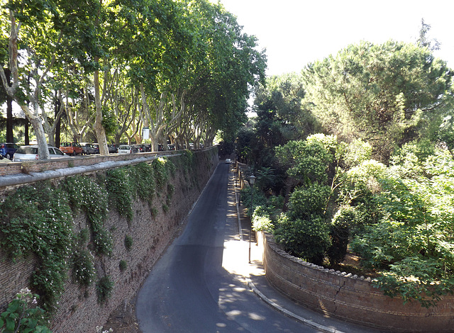 Road on the Janiculum Hill in Rome, June 2012