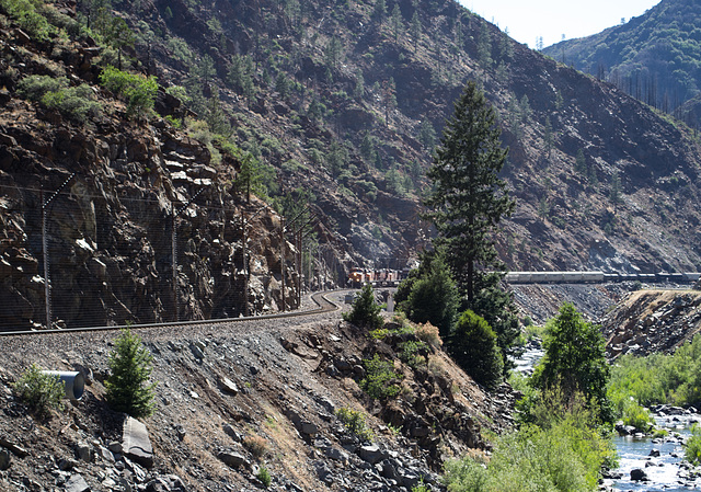 Feather River BNSF freight (0188)