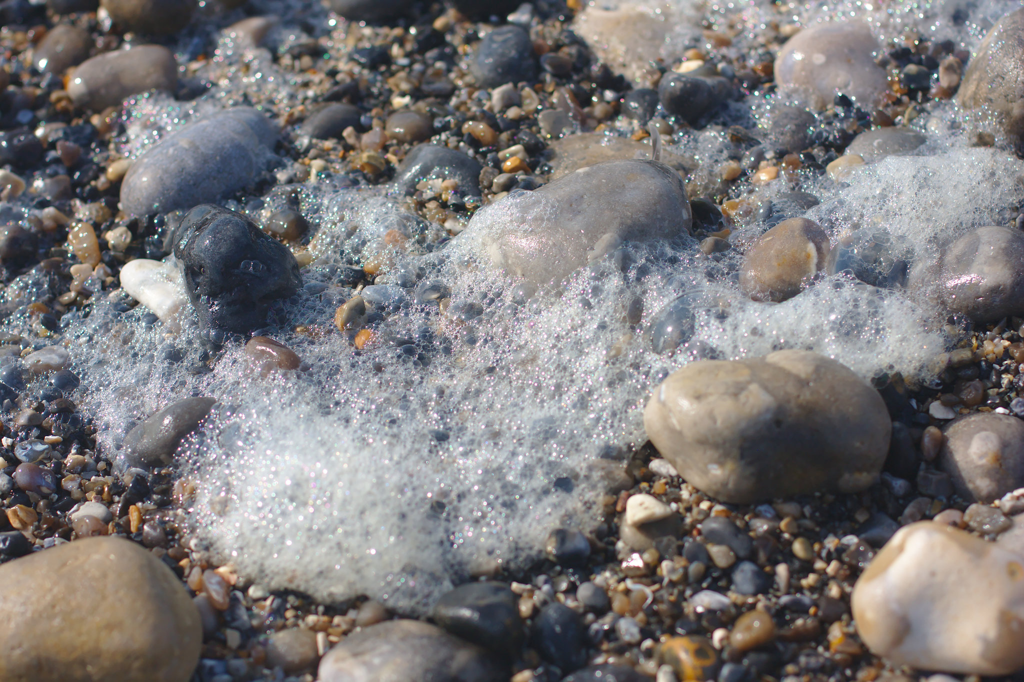 Cayeux sur Mer