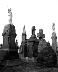 Calvary Cemetery, March 2008