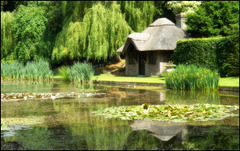 Lily Pond, Ascot House
