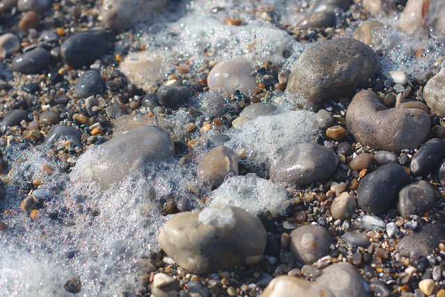 Cayeux sur Mer