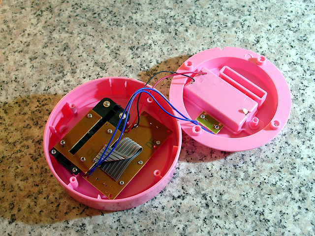 Piggy Bank innards