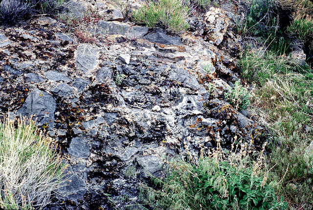 14-breccia_outcrop_adj