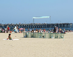 The Pier and Beach in Coney Island, June 2010