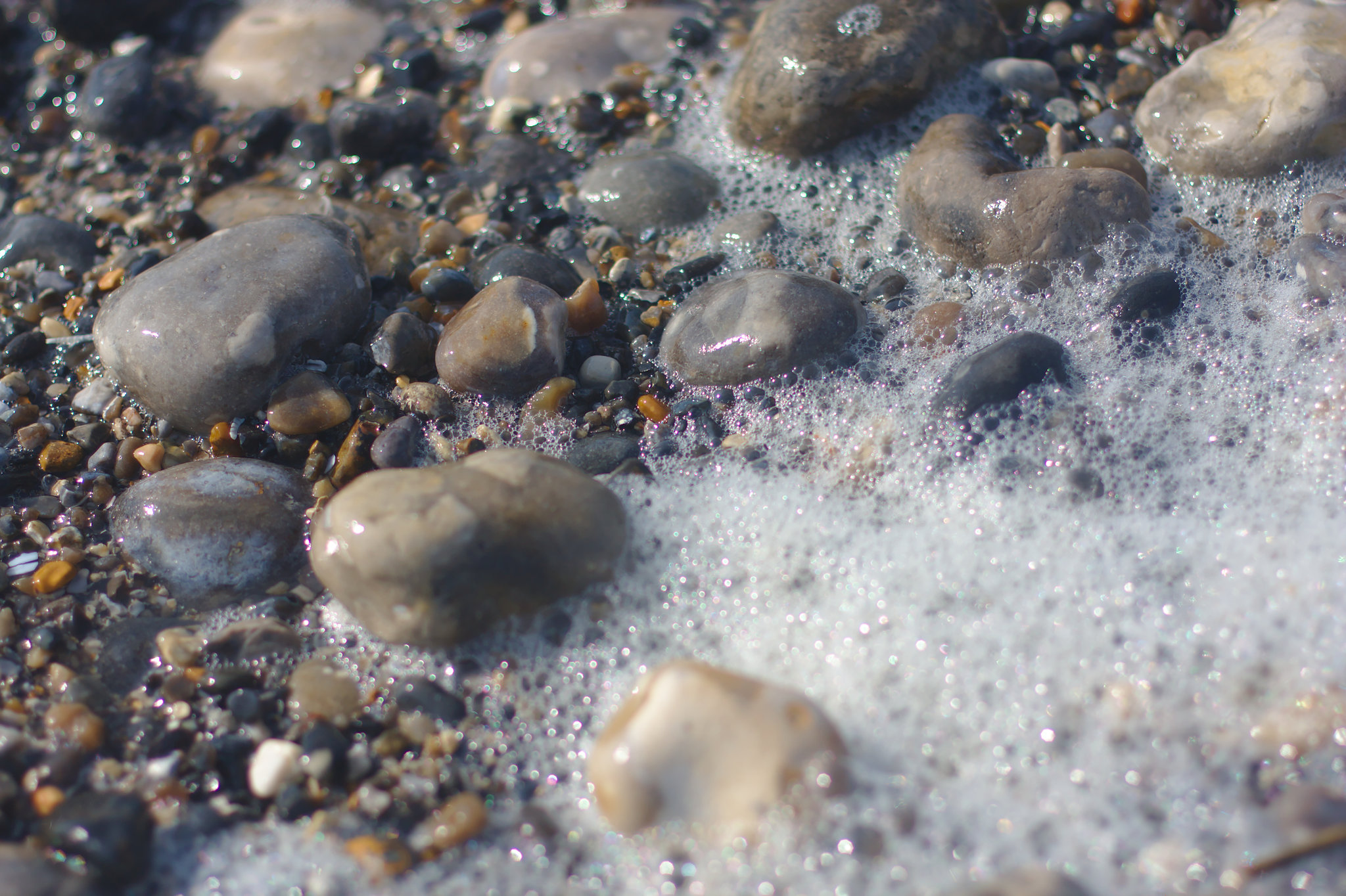 Cayeux sur Mer