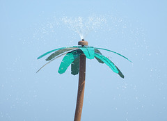 Palm Tree Shower on the Beach in Coney Island, June 2010
