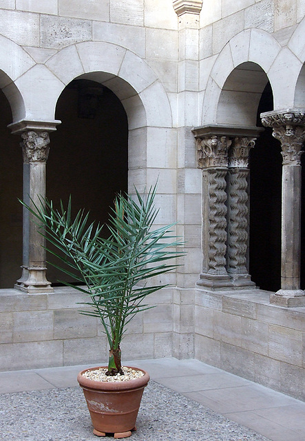 The Saint-Guilhem Cloister in the Cloisters, Sept. 2007