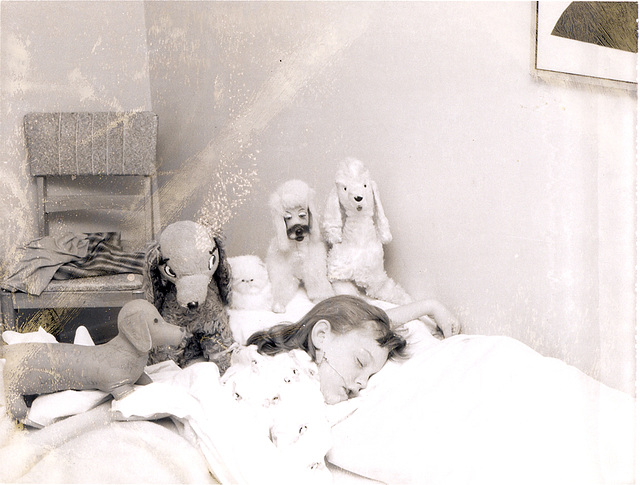 The '50s: Blissful sleep of Poodles, Kitties, Autograph Dogs and orthodontic appliances.