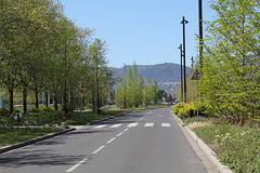 Plantations du Campus