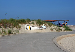 Curved Path in Jones Beach, July 2010