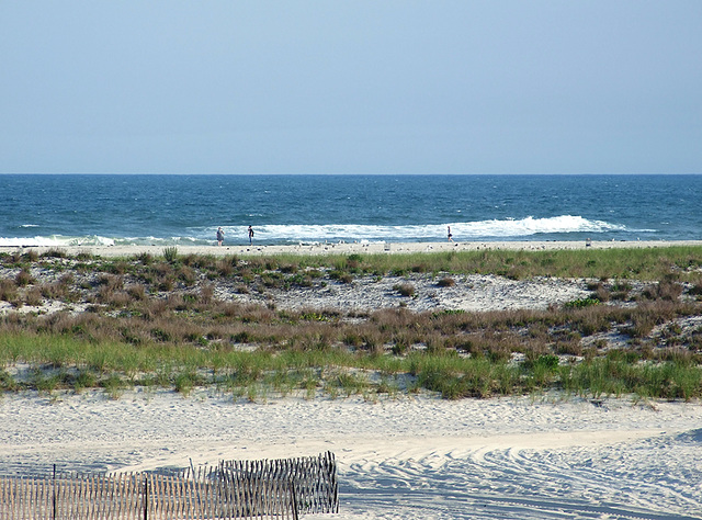 The Western Part of Jones Beach, July 2010