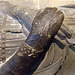 Detail of an Effigy of a Woman in the Cloisters, Sept. 2007