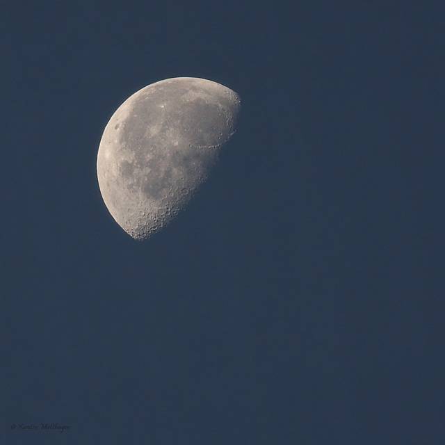 Guter Mond, du gehst so stille... (8:24 Uhr, Wilhelma)