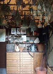 Workroom in the Herb Garden of the Cloisters, October 2009