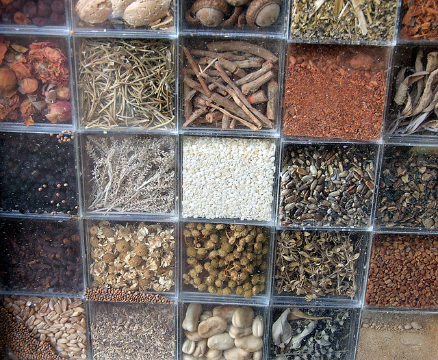 Medieval Herbs and Seeds in the Herb Garden in the Cloisters, Sept. 2007