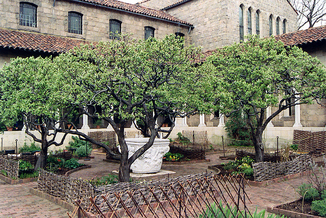 Garden in the Cloisters, April 2007