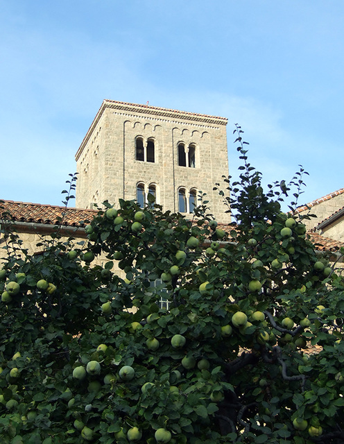 Tree and Tower in the Herb Garden in the Cloisters, Sept. 2007