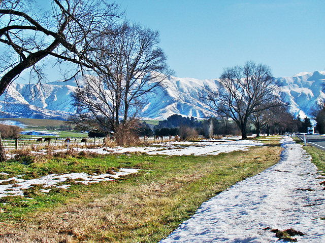 Outskirts of Fairlie