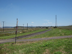 201202Cam-Grn rd 022