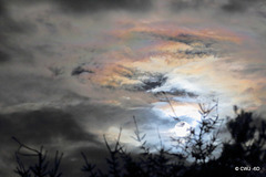The moon was a ghostly galleon, tossed upon cloudy seas...