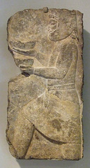 Relief from the Palace of  Xerxes I at Persepolis in the Princeton University Art Museum, August 2009