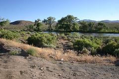 Carson River