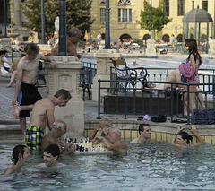 Joueurs d'échecs, bains Széchenyi, Budapest