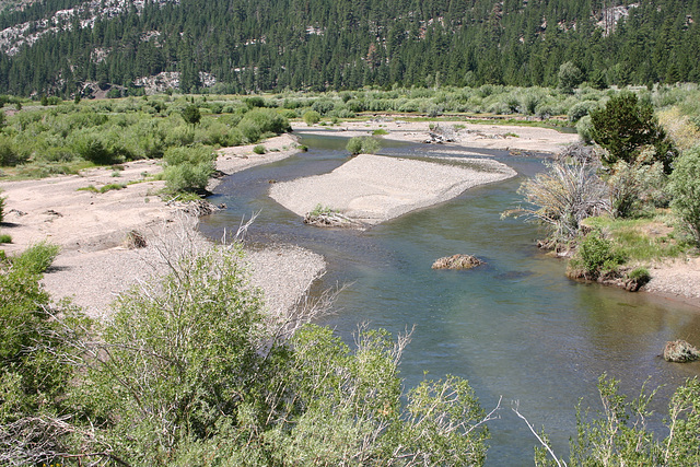 West Fork, Walker River